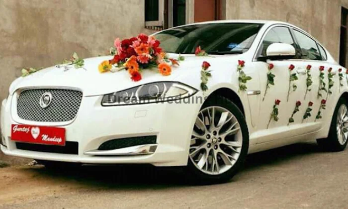 Babbar Luxury Wedding Car